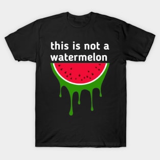 Palestine flag color watermelon T-Shirt